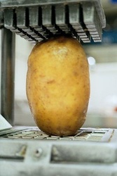 954-20090326-frietsnijder.jpg